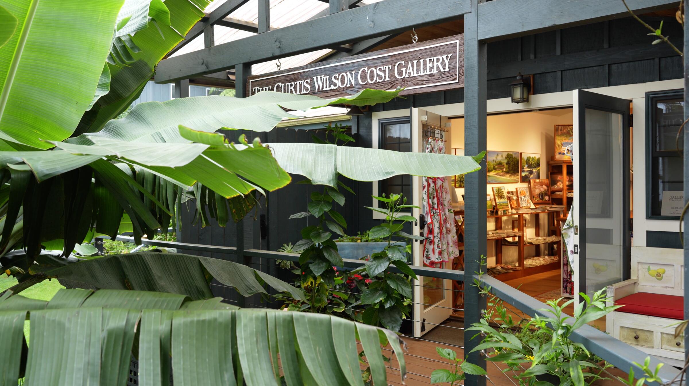 The way in to the Curtis Wilson Cost Gallery, past the banana leaves