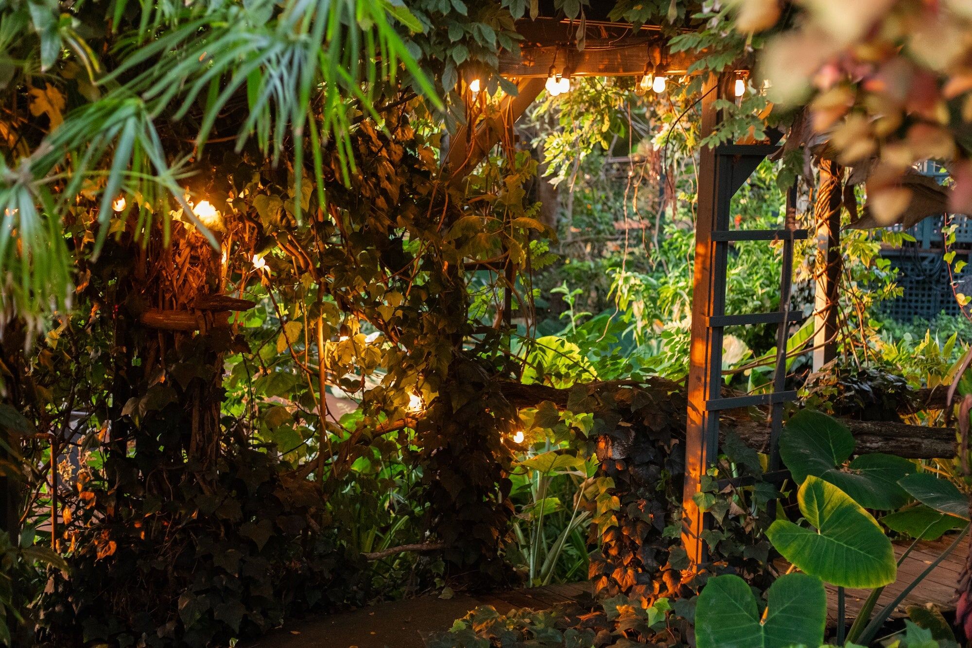 The gallery garden lit up in the evening