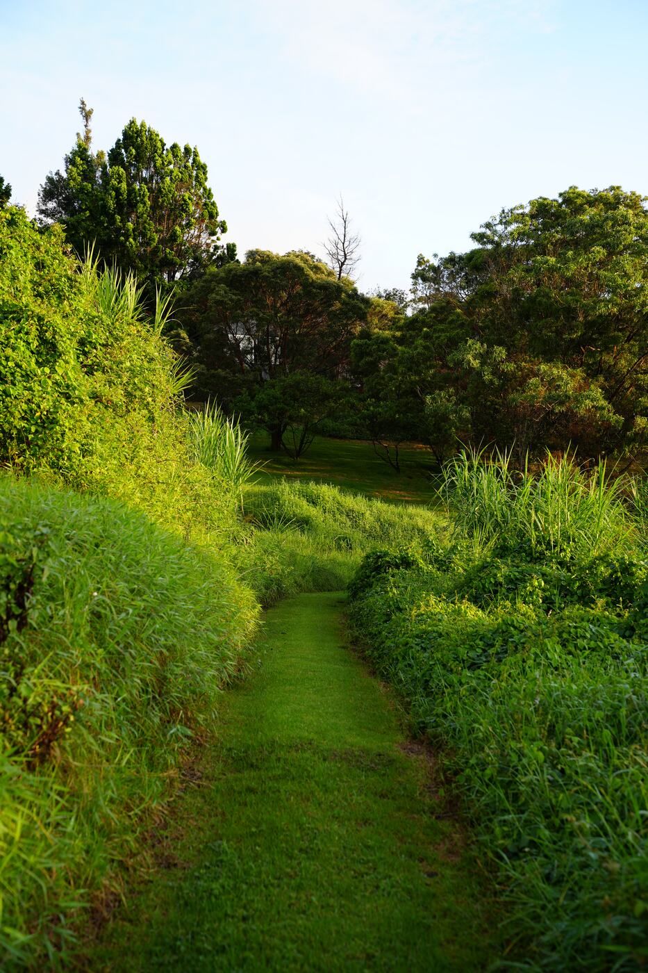 A grassy path between banks of green up the slope of the gallery grounds