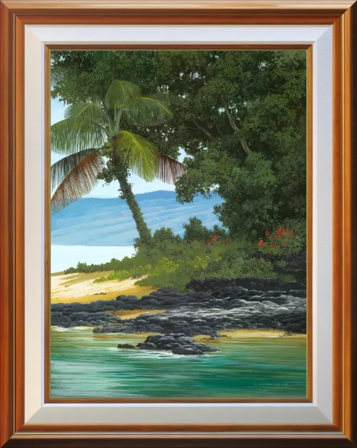 Beach Morning Glory