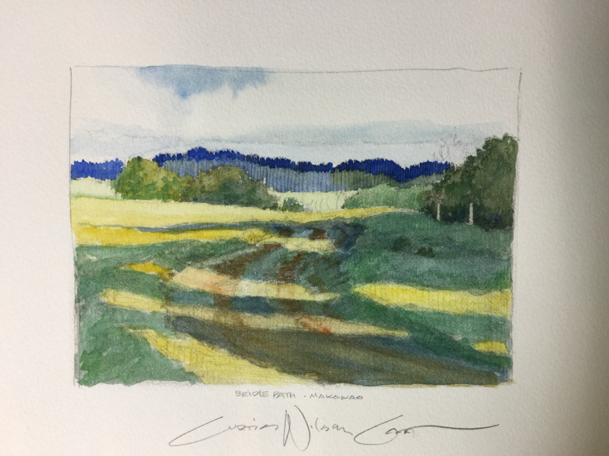 Watercolor sketch of the path through the pasture, with trees along the far ridge