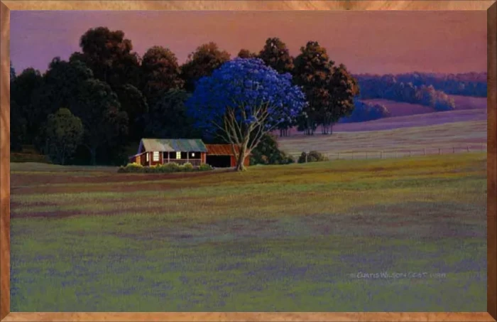 Evening Jacaranda