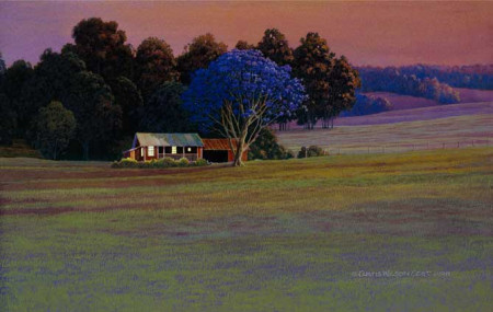 Evening Jacaranda