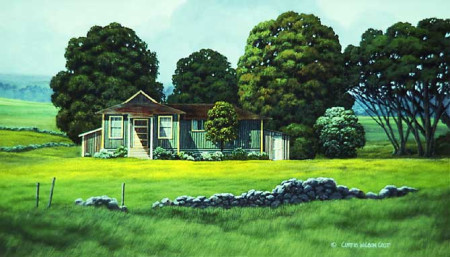 Front Yard Oranges
