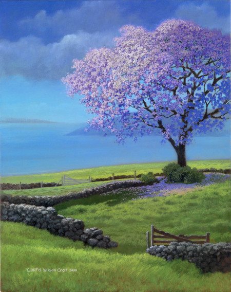 Grandmother Jacaranda