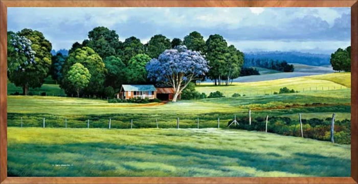 Jacaranda Season
