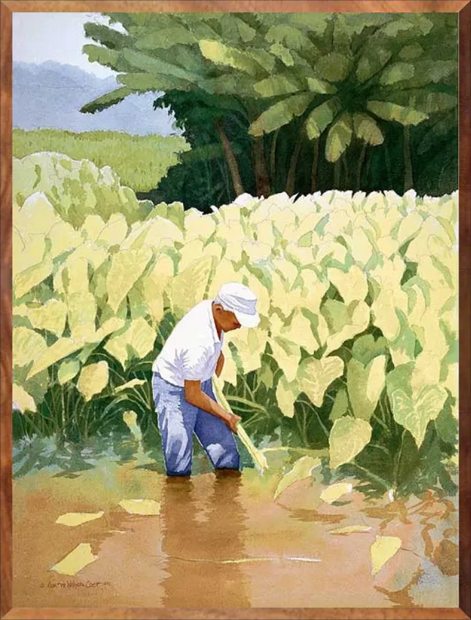 Kanoa's Taro, 1-Piece Frame
