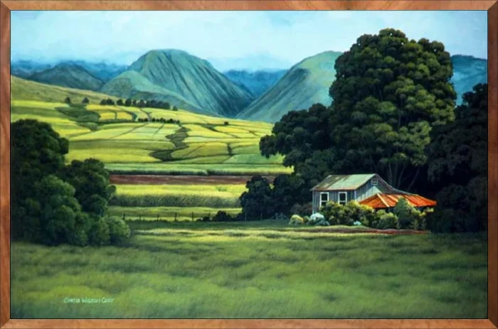 Little Green House