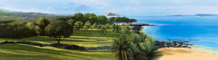 Old Makena Panorama