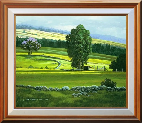 Pasture Shadows