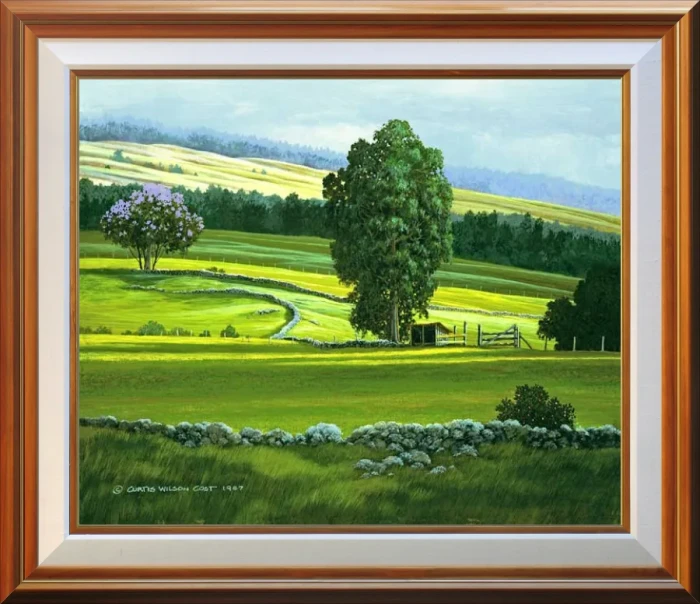 Pasture Shadows