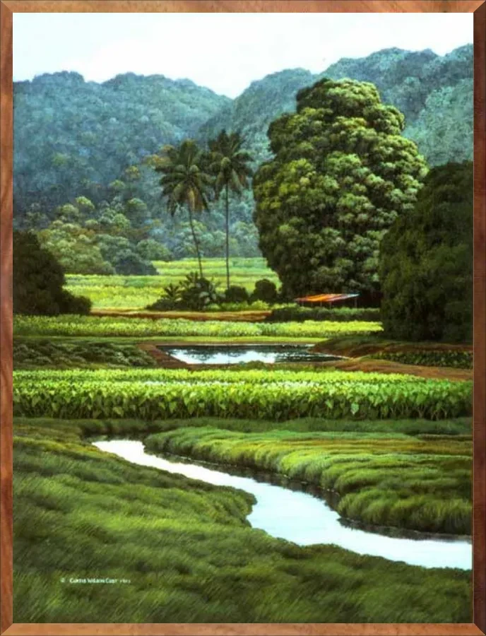 Ponds and Terraces, 1-Piece Frame