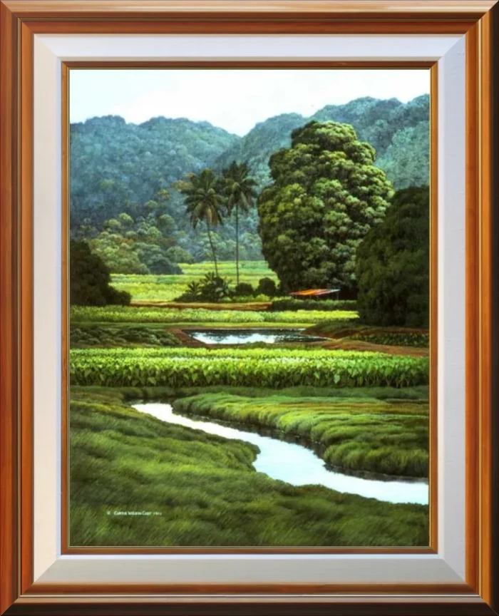Ponds and Terraces
