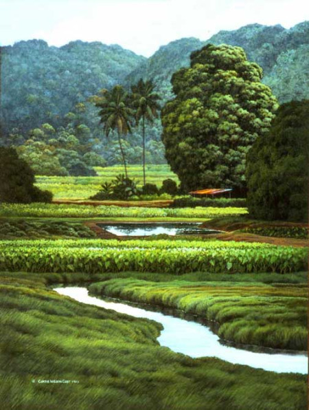 Ponds and Terraces