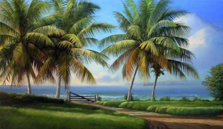 Return to Makena Panorama