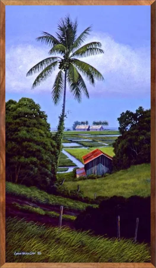 Taro Patch