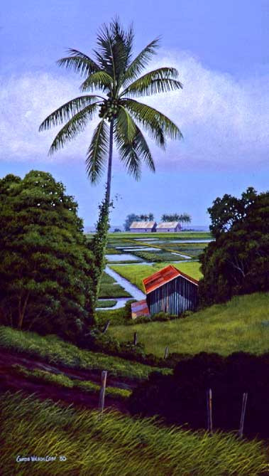 Taro Patch
