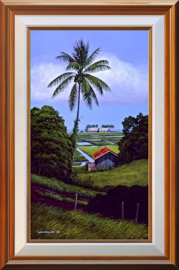 Taro Patch
