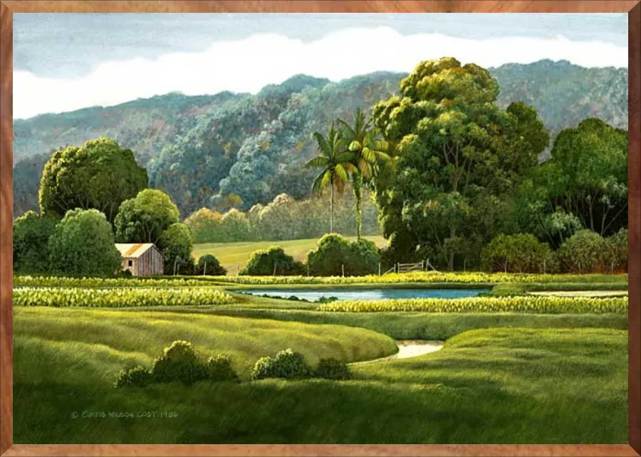 Taro Ponds, 1-Piece Frame