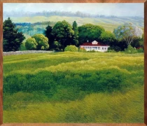 The White House