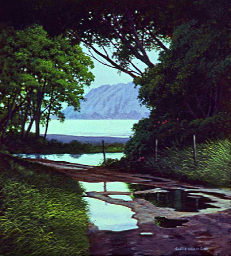 Through the Trees