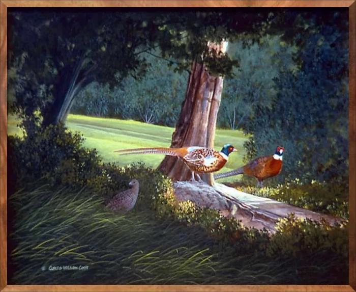 Undercover Pheasants