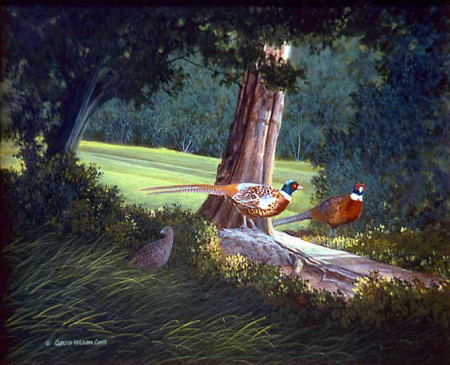 Undercover Pheasants