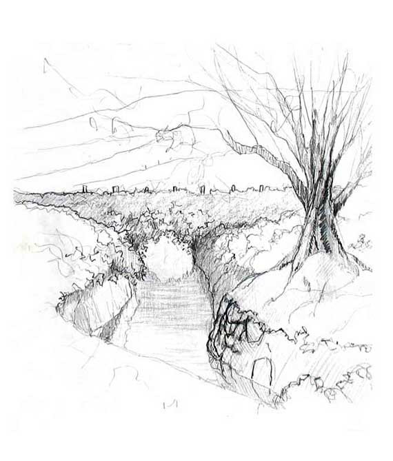 Pencil sketch of a stream winding through a hollow under a bare tree, with a fence line beyond