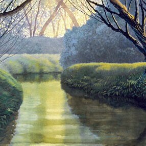 A stream between overhanging trees, from Waterway