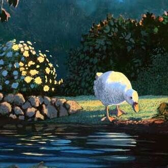 A white goose drinking at a pond, from Feeling Ducky