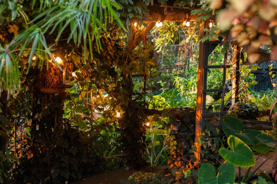 The gallery garden lit up in the evening